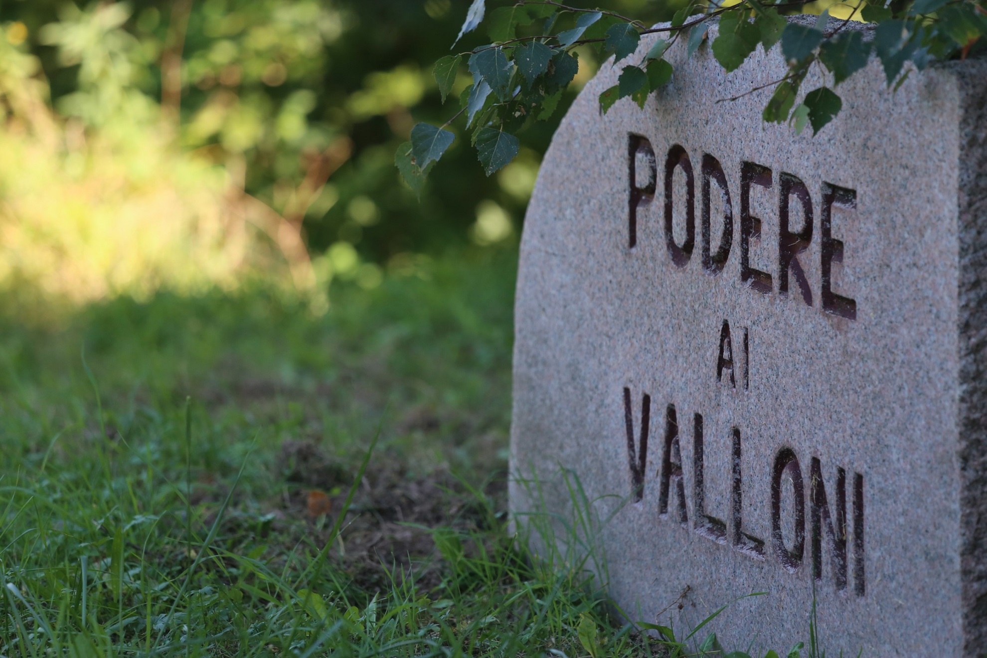 Pietra all'ingresso del Podere ai Valloni, Boca, Alto Piemonte