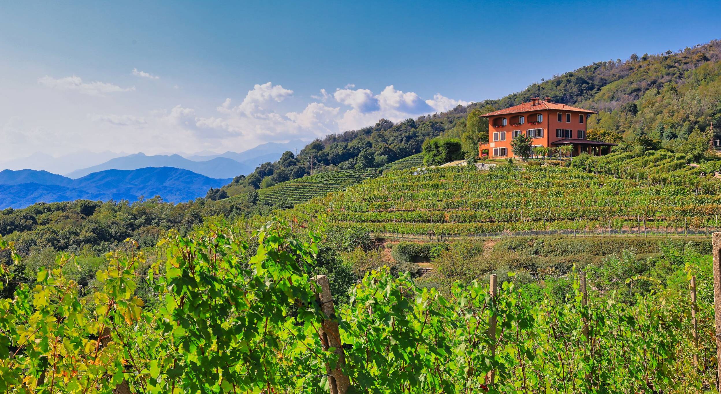 Panorama di Vigna Cristiana al Podere ai Valloni a Boca nell'Alto-Piemonte durante un temporale